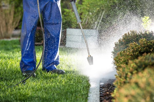 Cost of Curb Cleaning in Chattanooga