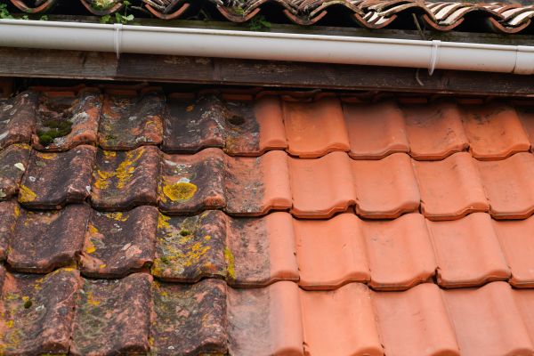 Industrial Roof Cleaning in Chattanooga
